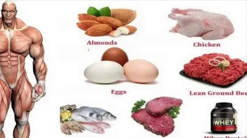 Top Muscle-Building Foods