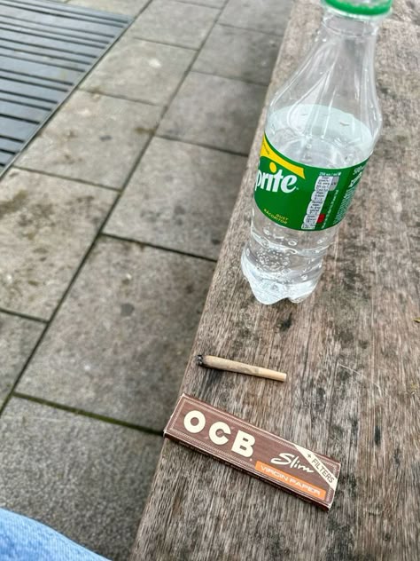 How to Grow Your Own Marijuana: Step-by-Step Instructions